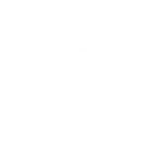 Kaleos logo